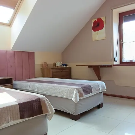 בית אירוח U Sabi ויסלאו