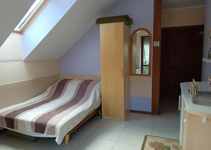 בית אירוח U Sabi ויסלאו